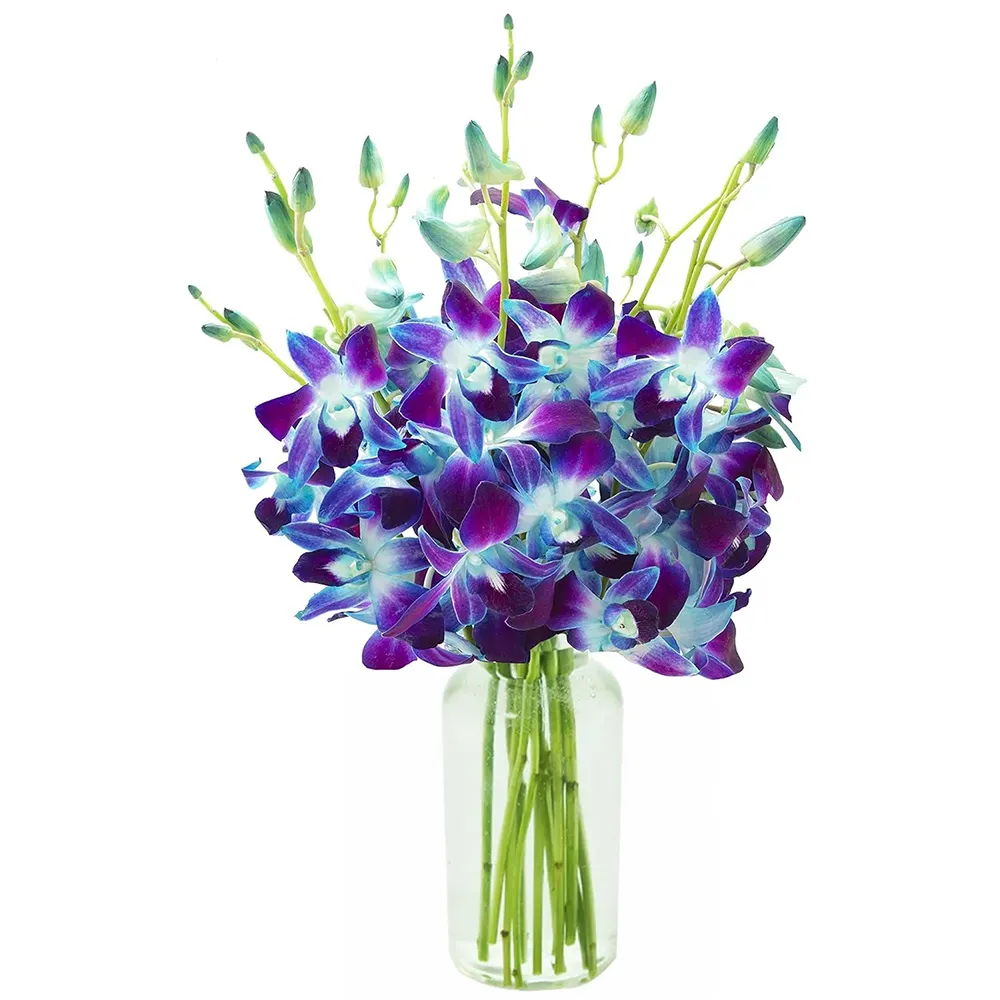Exotic Sapphire Orchid Bouquet of Blue Orchids
