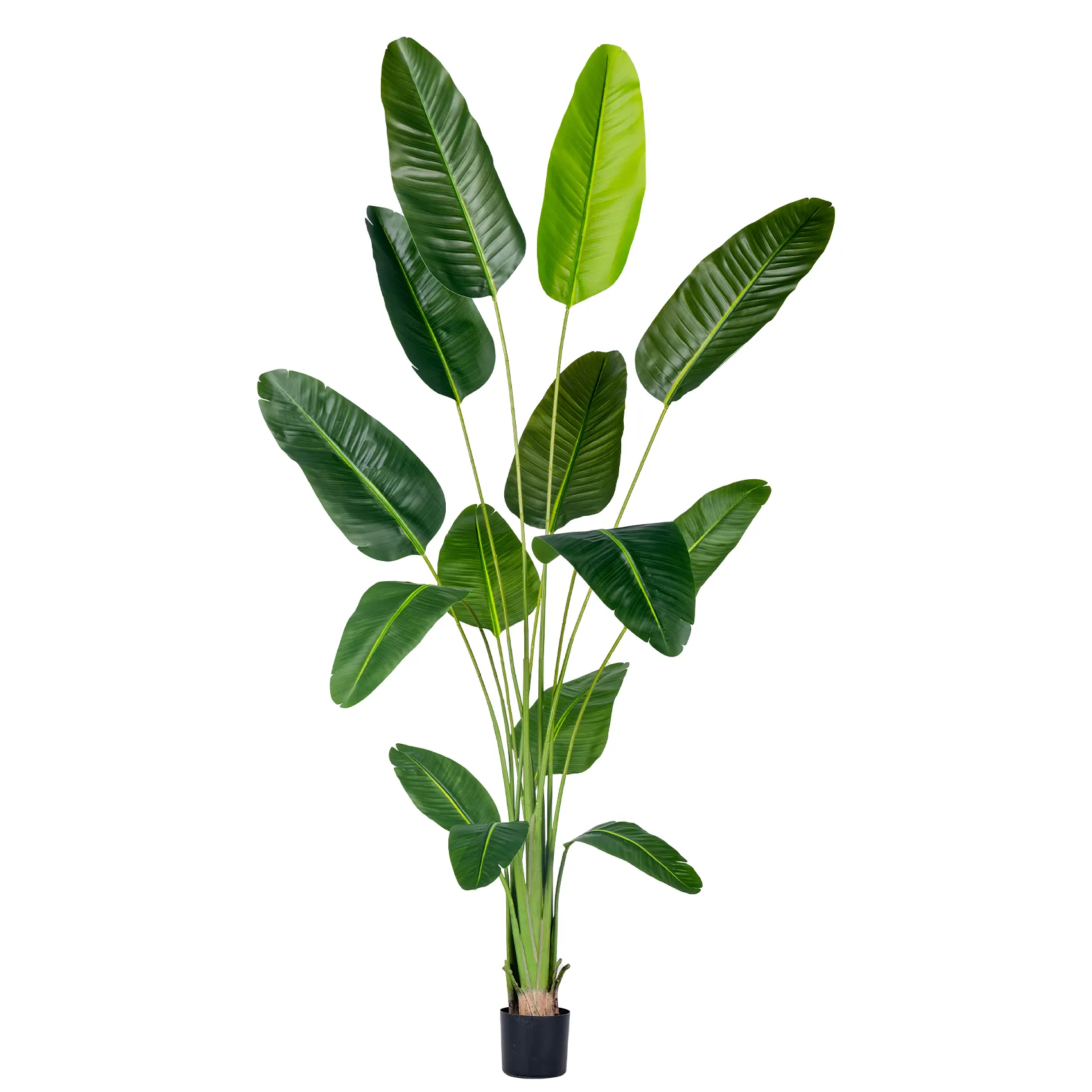Artificial traveler's banana trees